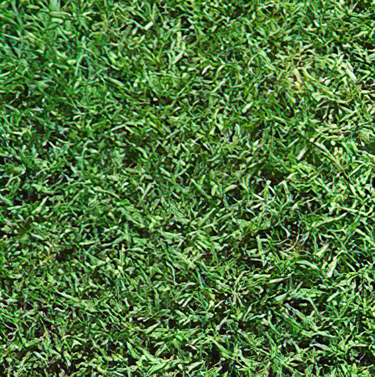 Turf in Essex