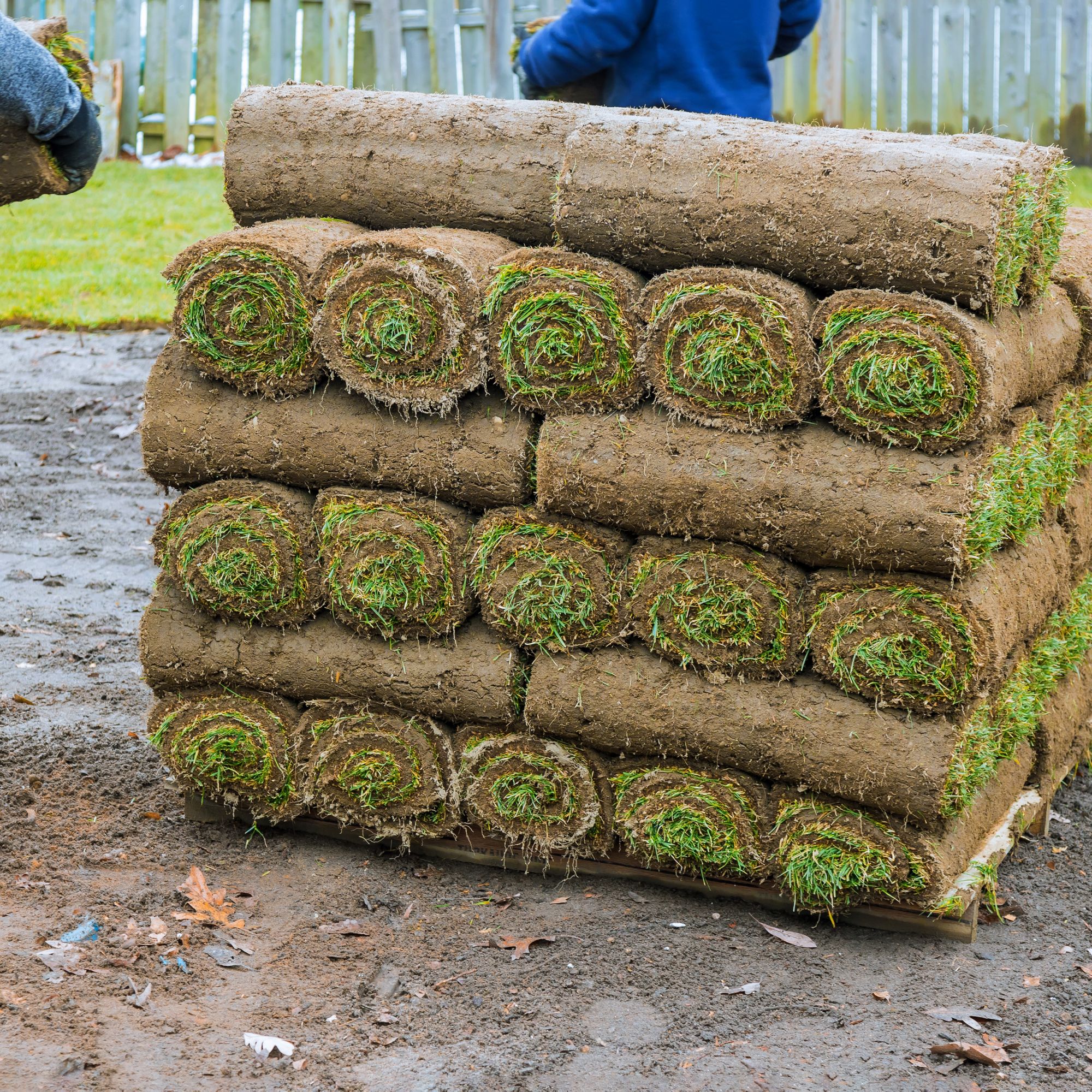 About Bills Turf