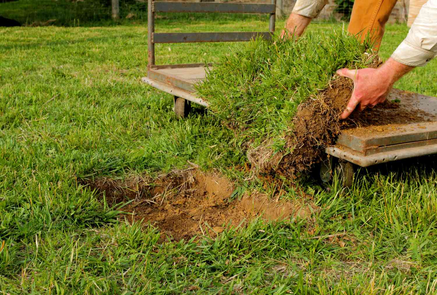 2. Remove the old lawn
