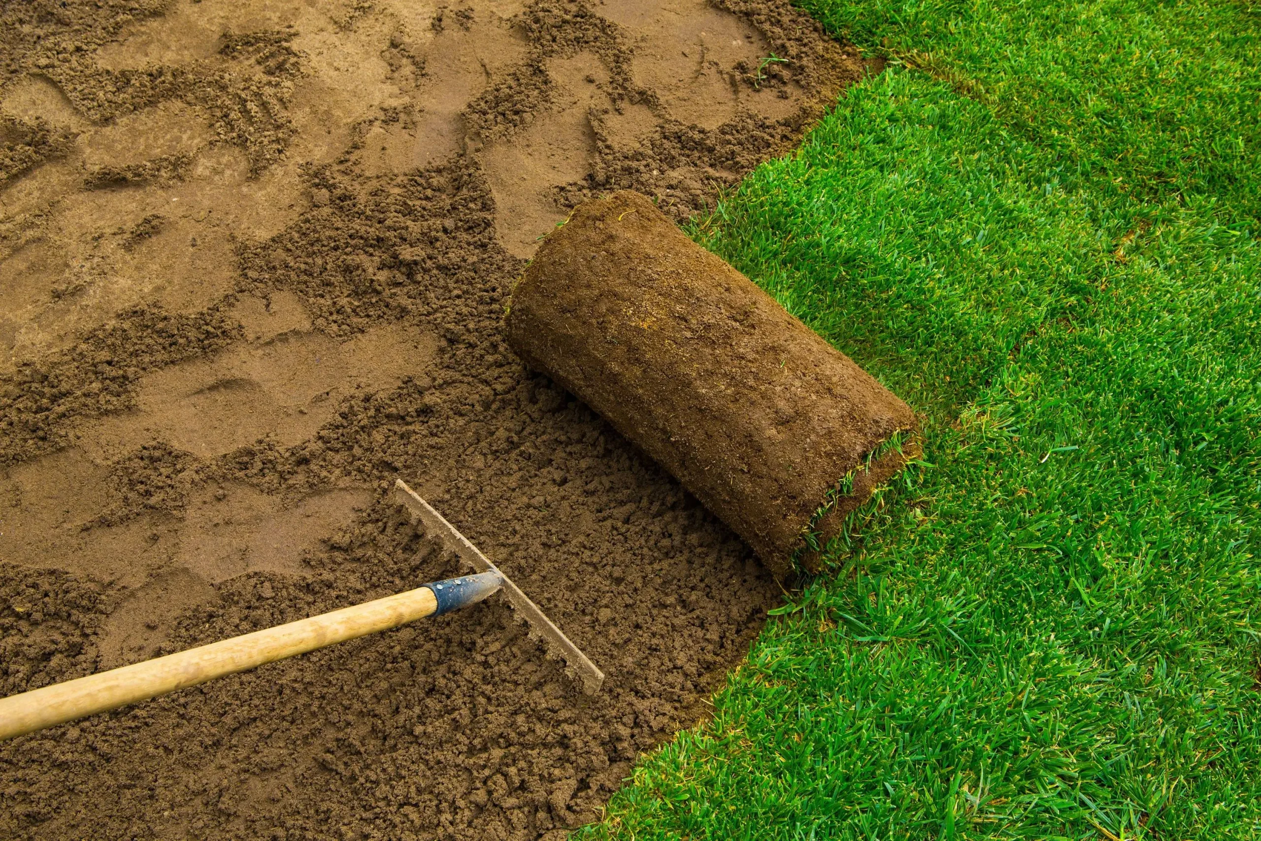 5. Rake level