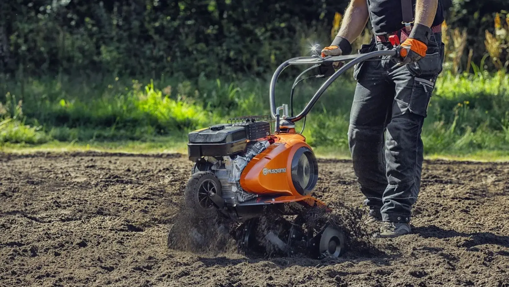 4. Rotavate the ground